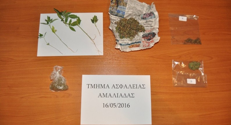 Συνελήφθη 54χρονος για καλλιέργεια ναρκωτικών στην Αμαλιάδα