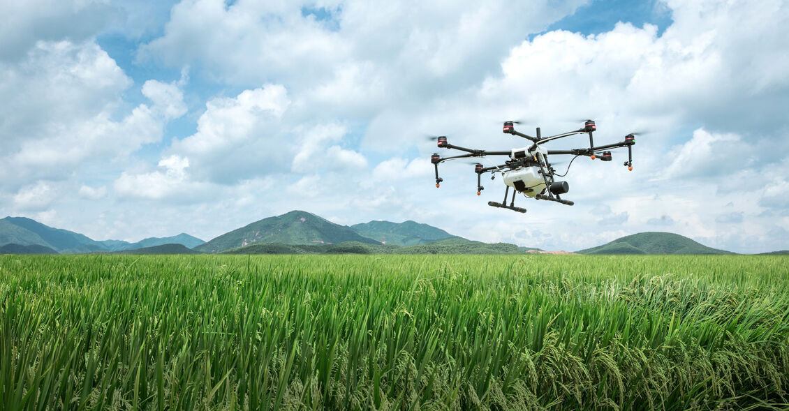 dji 4223421 1920 2