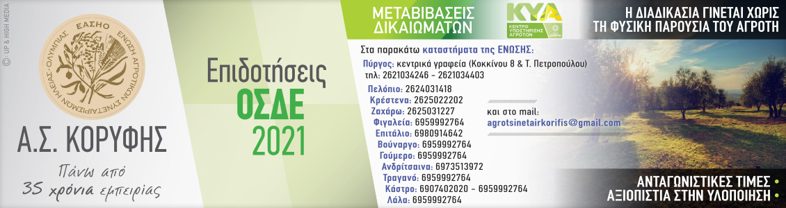 as koryfis 1130x300 agr