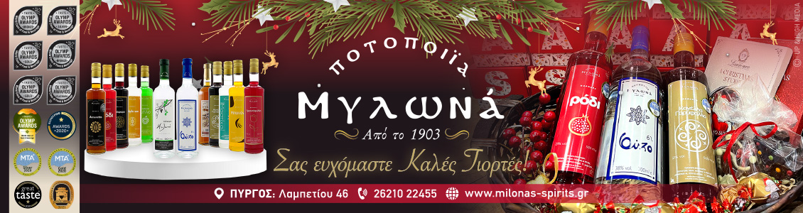 mylona 1130x300xmas 2021