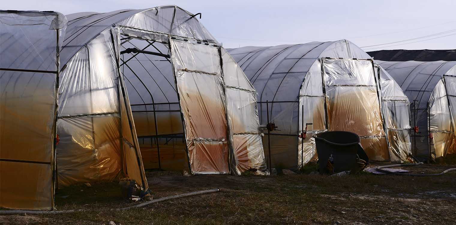 Ο τύπος και οι τεχνικές προδιαγραφές κατασκευής θερμοκηπίων