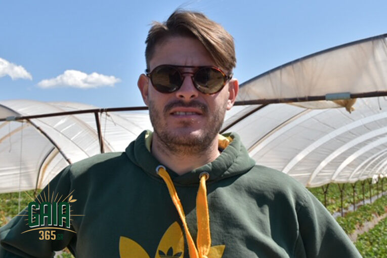 xaloulos