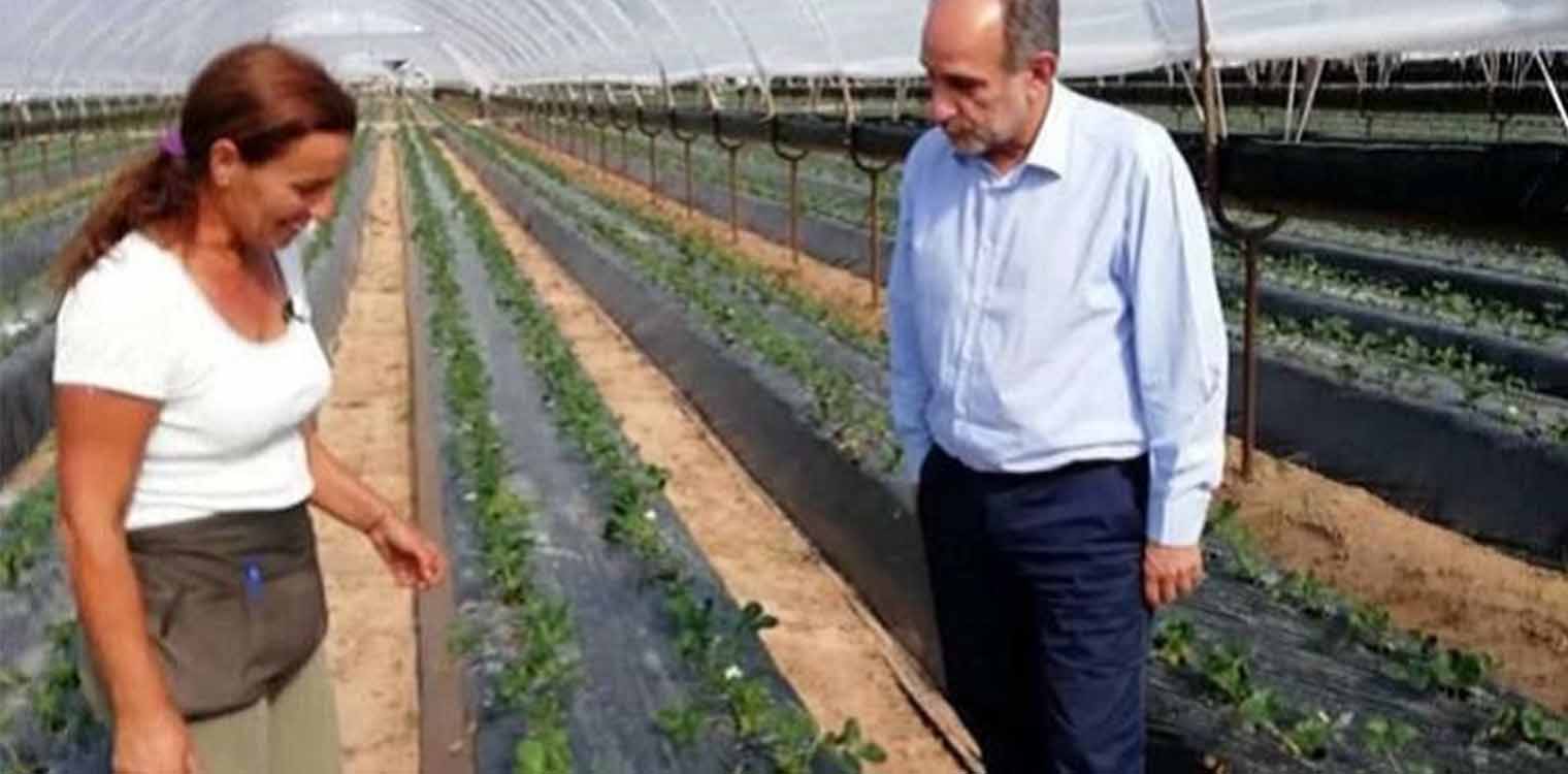 Κατσιφάρας: Ολοκληρωμένες προτάσεις για τη στήριξη του πρωτογενή τομέα