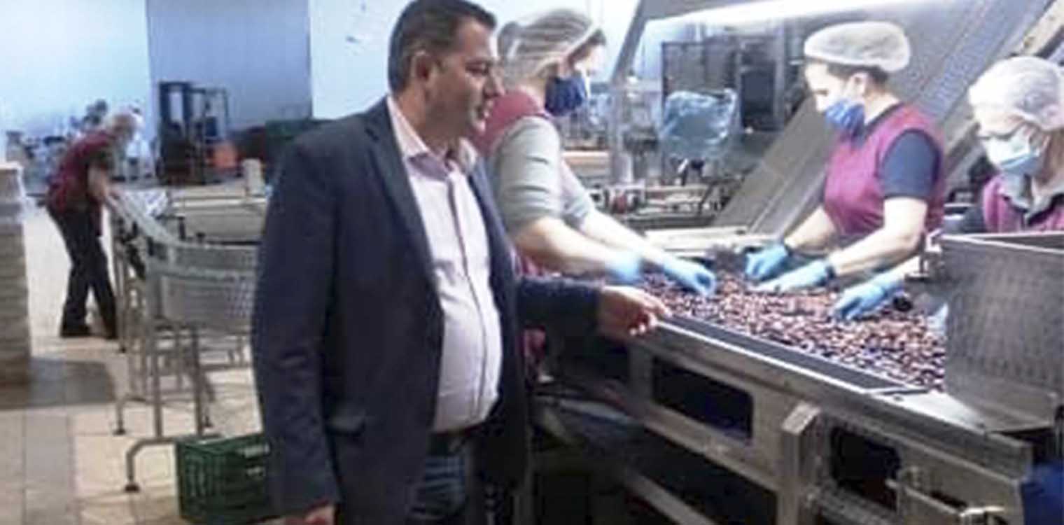 Θ. Βασιλόπουλος: Μεγαλύτερη ώθηση στις Ελιές Καλαμών