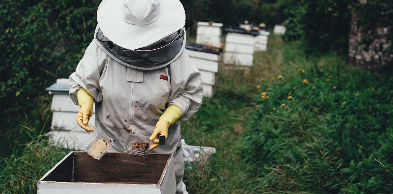 Τροποποίηση της ΥΑ για την οικονομική στήριξη της νομαδικής μελισσοκομίας