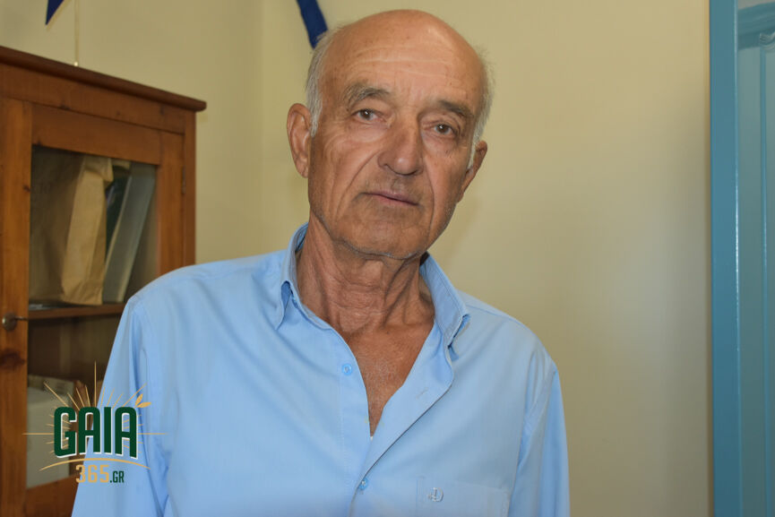 tsoukalas