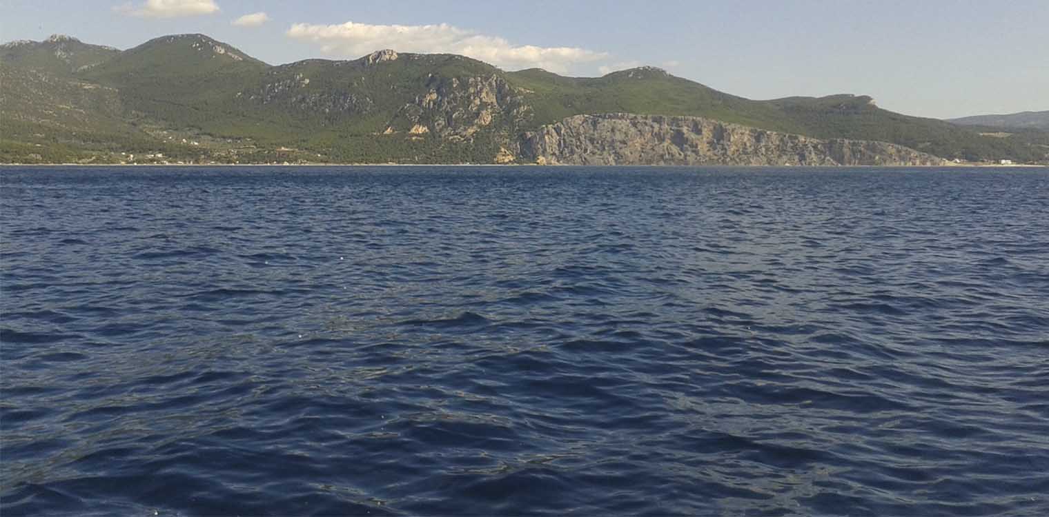 Νηρέας: Η ποσειδωνία είναι φίλος, τα συρόμενα εργαλεία είναι εχθρός της βιώσιμης αλιείας