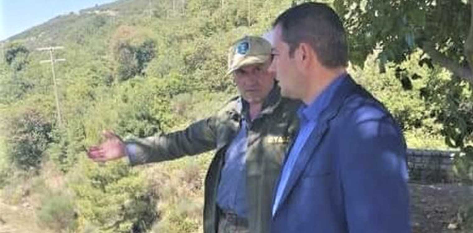 Βασιλόπουλος: Άμεσα ζωοτροφές για τους κτηνοτρόφους της πυρόπληκτης ορεινής ζώνης Λασιώνος