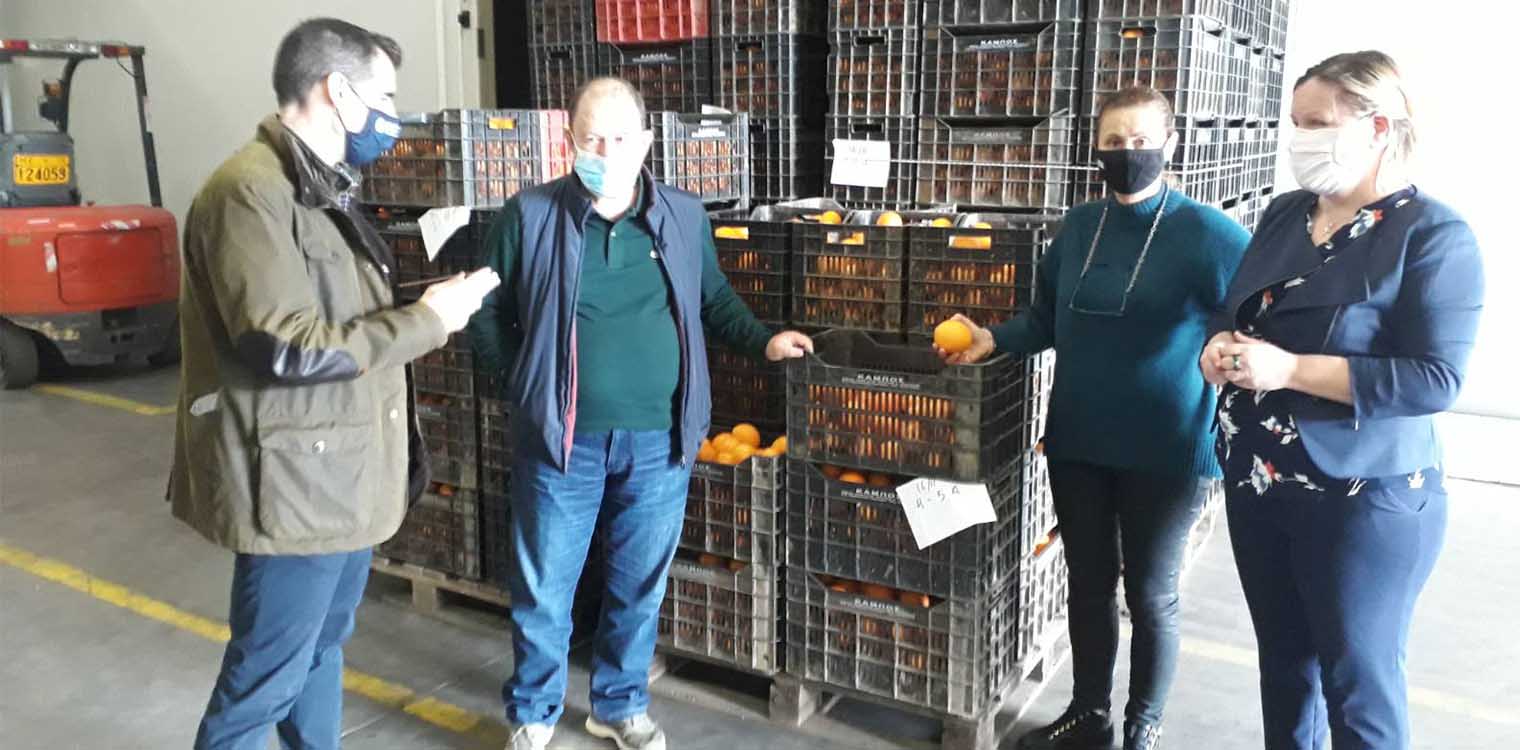 Επίσκεψη Γιαννόπουλου σε Συσκευαστήρια Εσπεριδοειδών και Ελαιοτριβεία