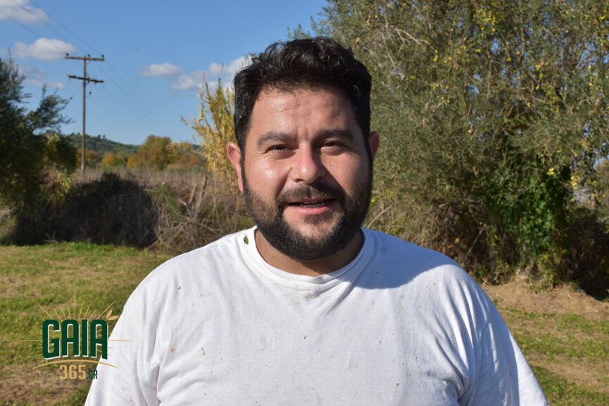 Stauropoulos