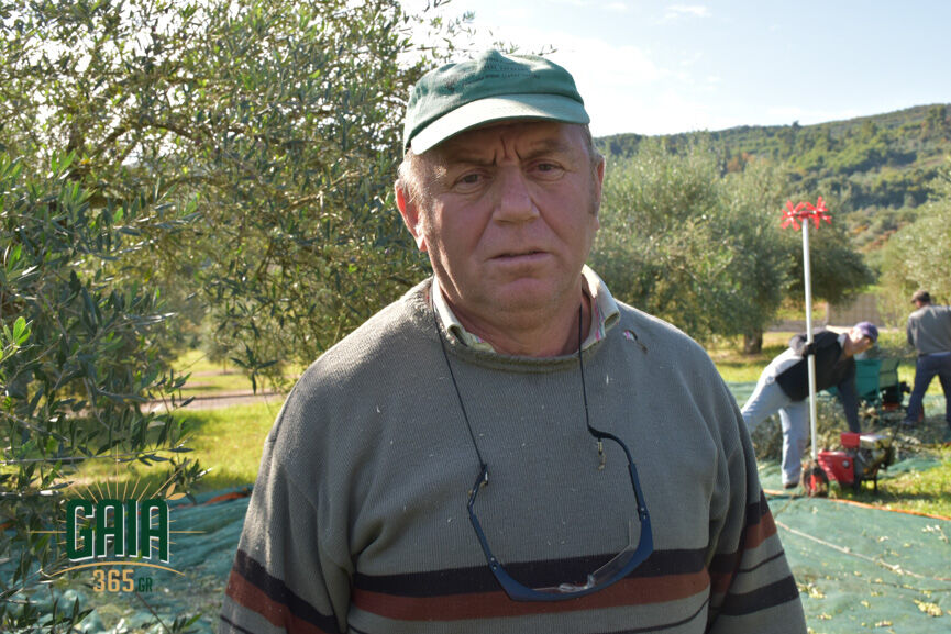 nikolooulos