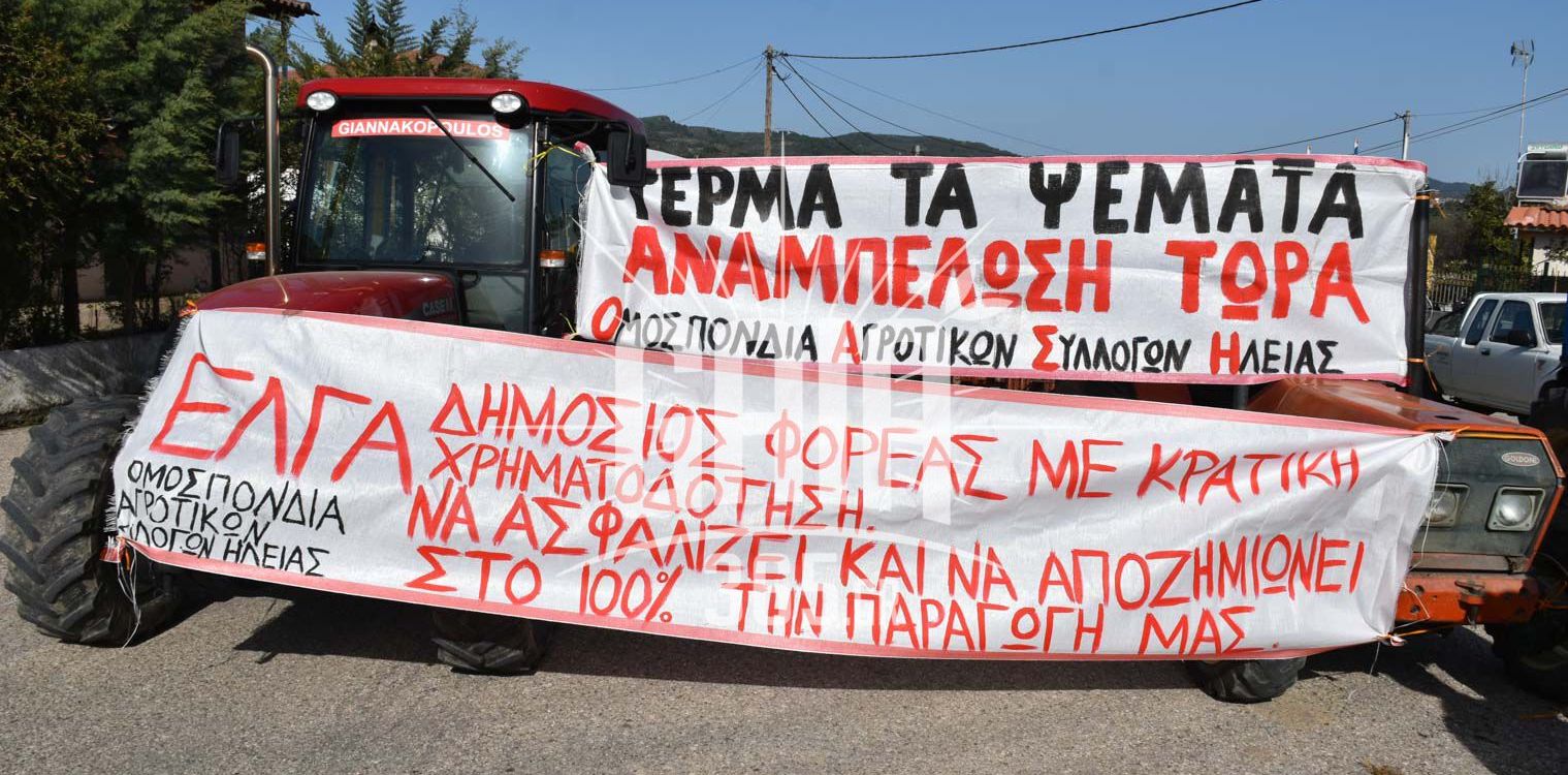 Σε απόγνωση οι σταφοδοπαραγωγοί της Ωλένης - Μονόδρομος οι αποζημιώσεις του ΕΛΓΑ