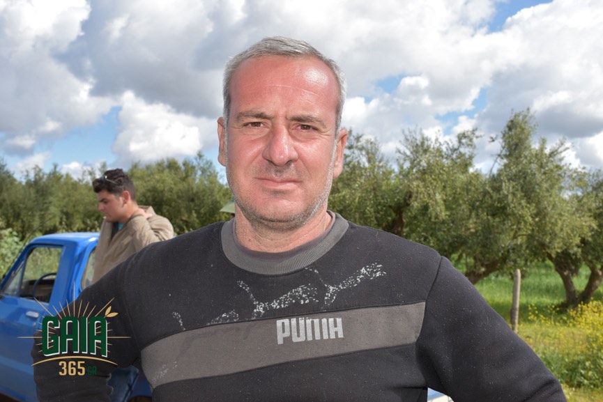 tsakopiakos giorgos 2