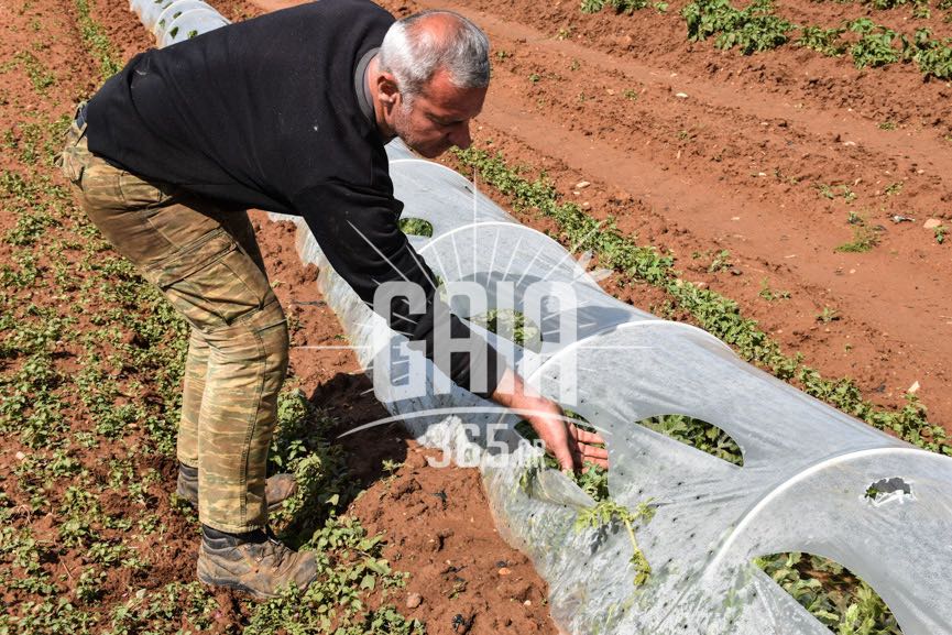 xalazi kampos 5 2