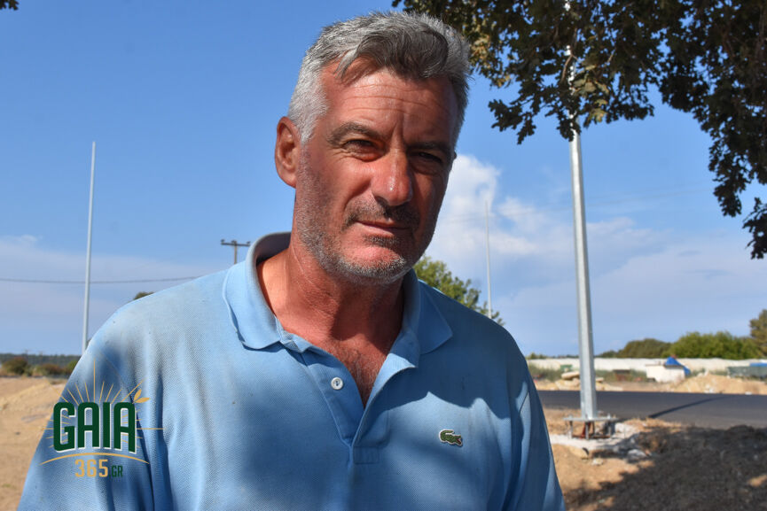 Triantafullopoulos 3