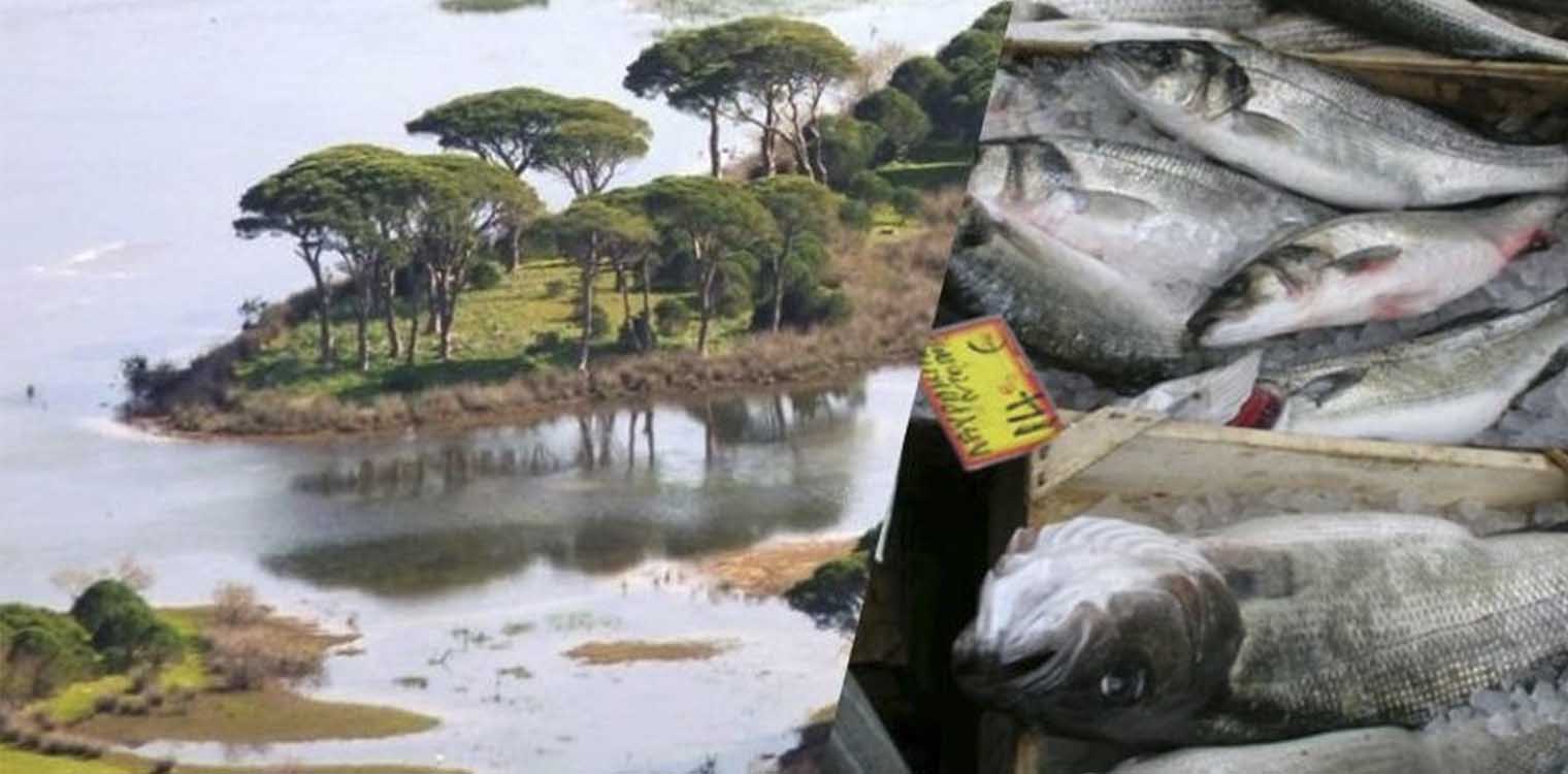 Οικολογική Δυτ. Ελλάδα: Εθνικό Πάρκο ή Ιχθυοτροφείο;
