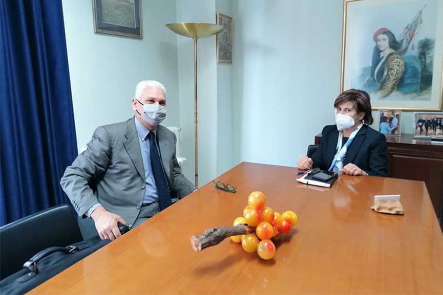 zaimis kalogirou