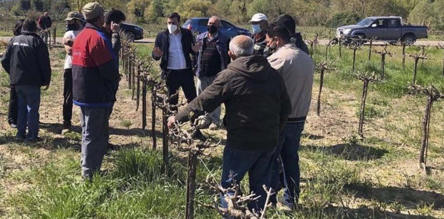 Νικολακόπουλος: Αναγκαία η συνδεδεμένη ενίσχυση για τα «πληγωμένα» αγροτικά προϊόντα