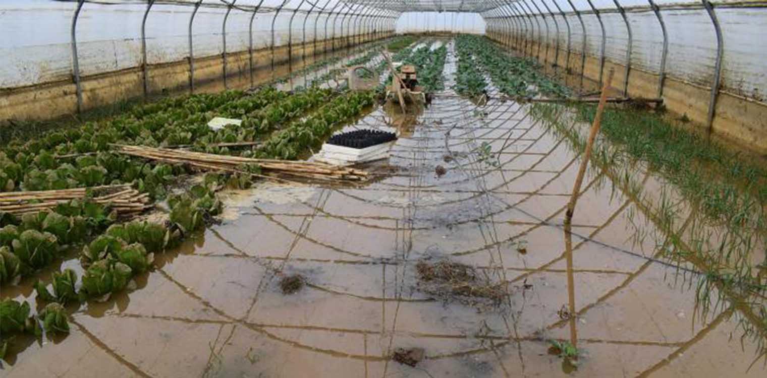 Αιτήσεις στην ΔΑΟΚ Ηλείας από αγροτοκτηνοτρόφους για καταγραφή ζημιών από πλημμύρες