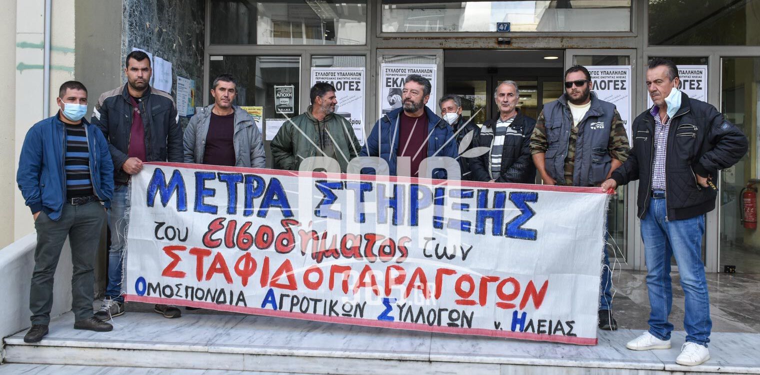 ΟΑΣΗ: Διαρκής αγώνας για την σταφίδα - Ζητείται εγγυημένη κατώτατη τιμή