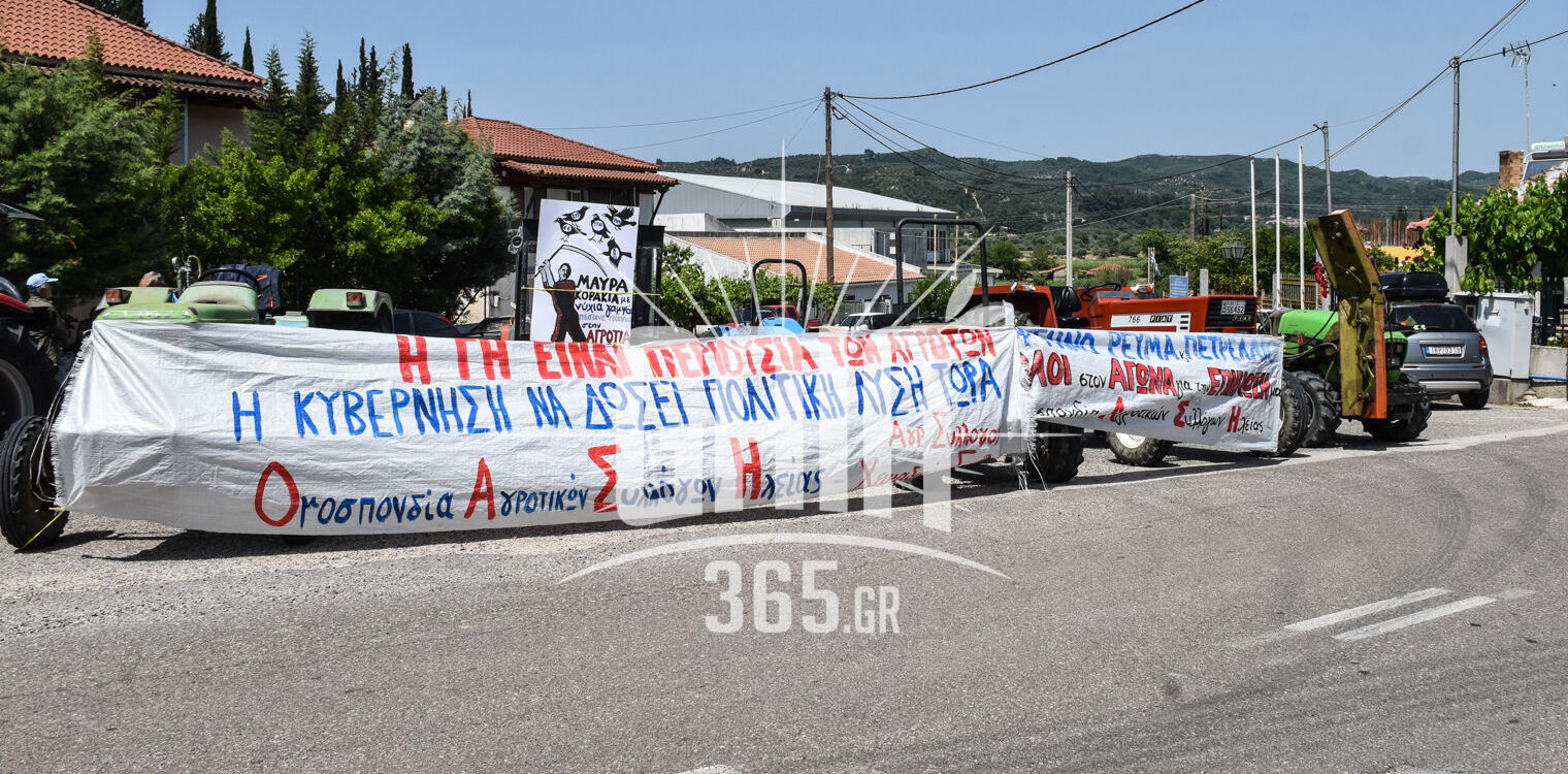 Καράτουλα: Ξεσηκωμός των αγροτών για τις “ιερές εκτάσεις” και την τιμή της σταφίδας