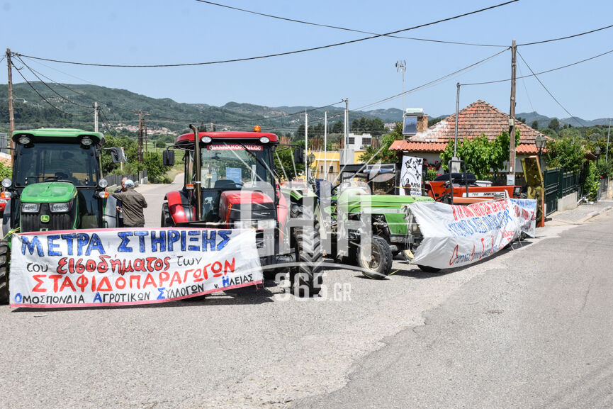 oasi karatoula 2