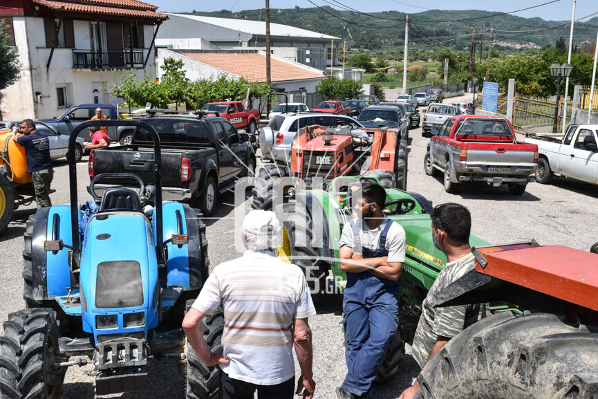oasi karatoula 5