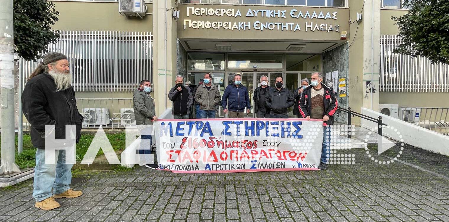 ΟΑΣΗ: Νέα κινητοποίηση την Τετάρτη 5/10 - Εγγυημένη τιμή στα 2€ ζητούν οι αγρότες για τη σταφίδα