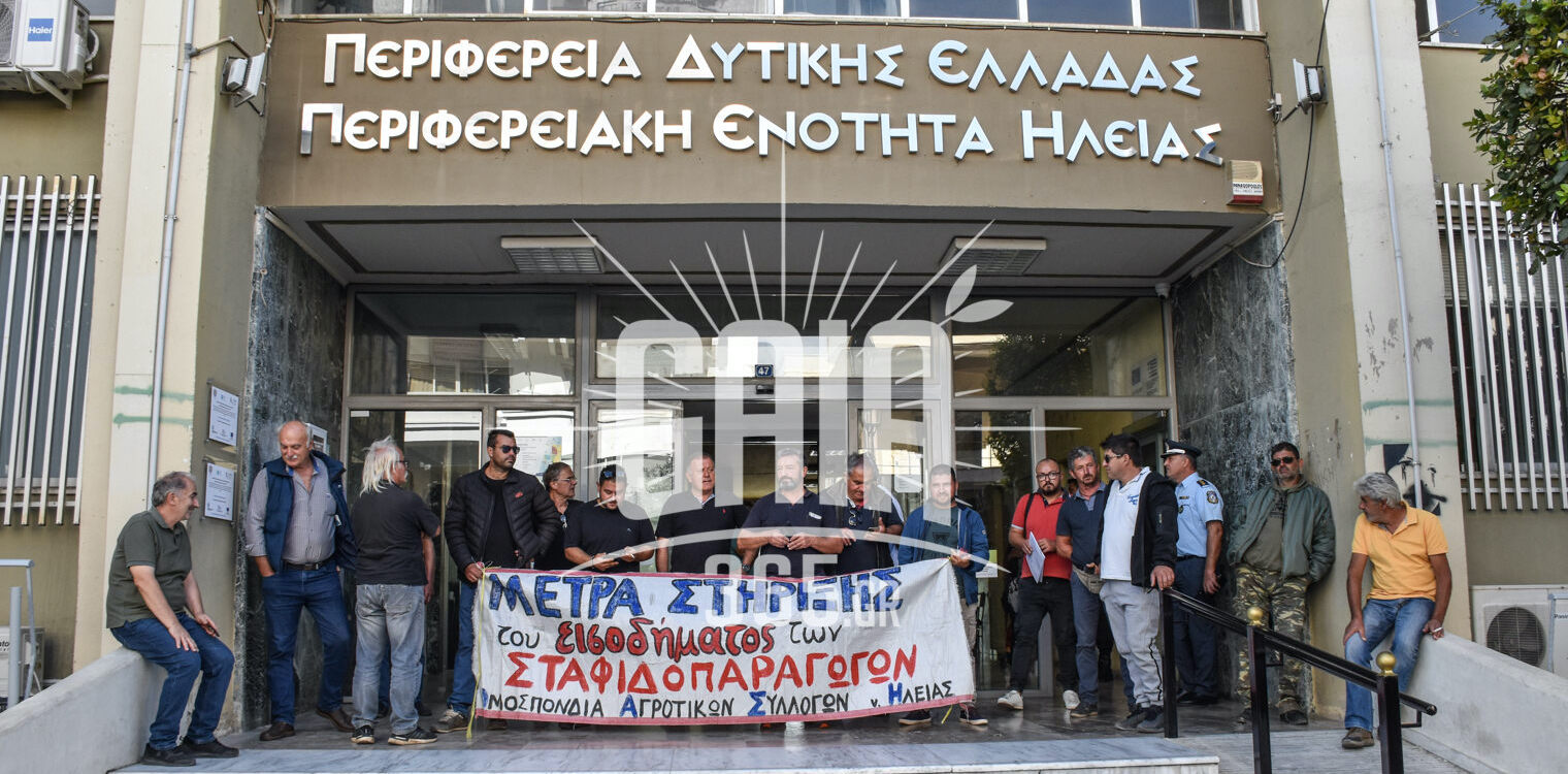 Πύργος: Νέα κινητοποίηση της ΟΑΣΗ - Ζητούμενο η κατώτατη εγγυημένη τιμή στα 2€ για τη σταφίδα