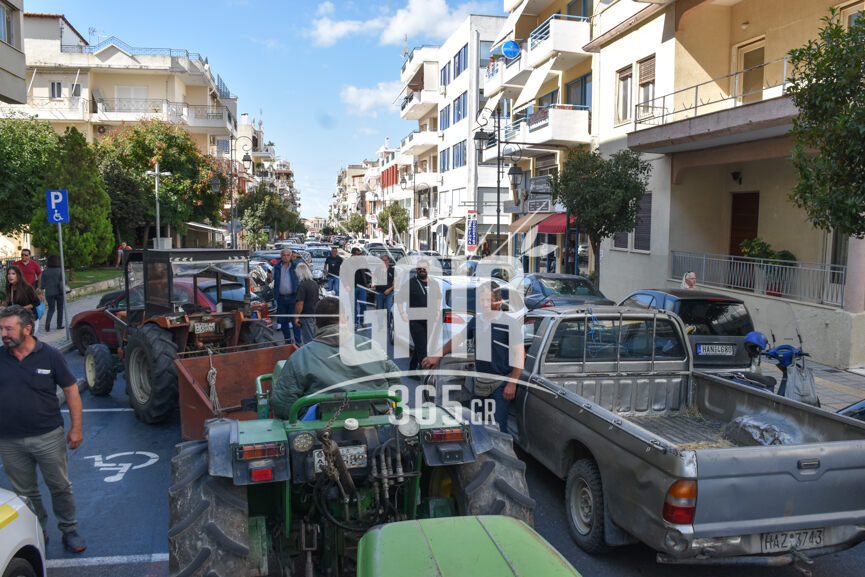 oasi ag.giorgiou 4