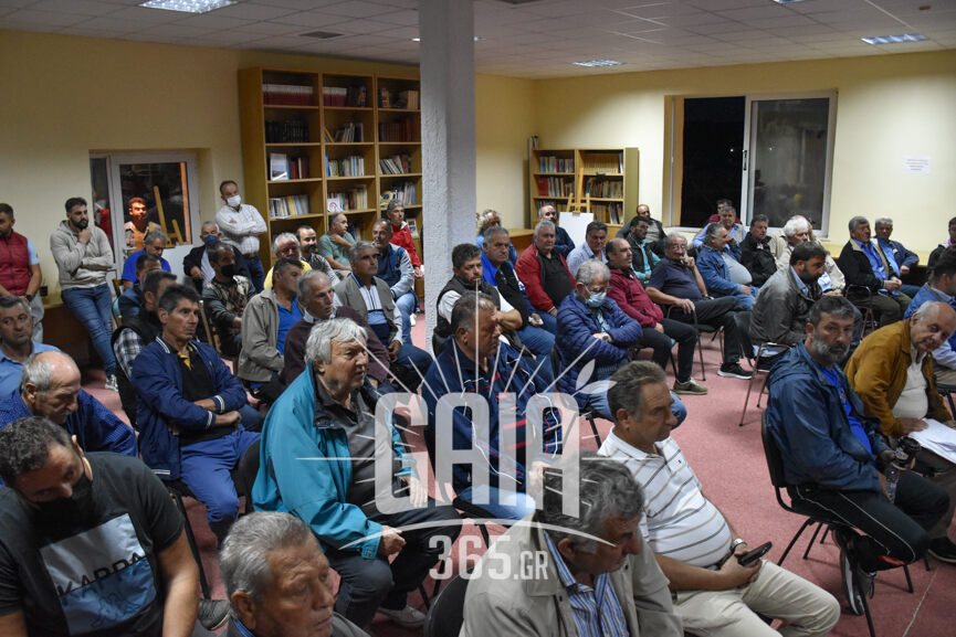 oasi magoula 3
