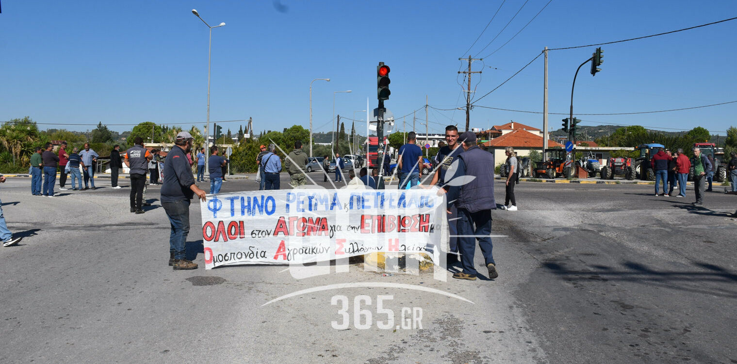 Συνεχίζουν τον αγώνα τους για την τιμή της σταφίδας οι σταφιδοκαλλιεργητές