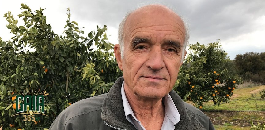 tsoukalas