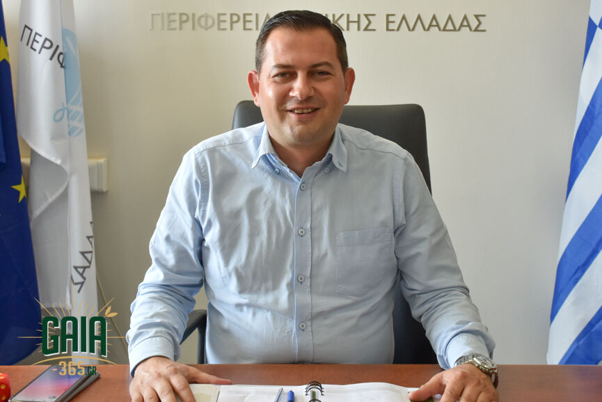 Vasilopoulos 2