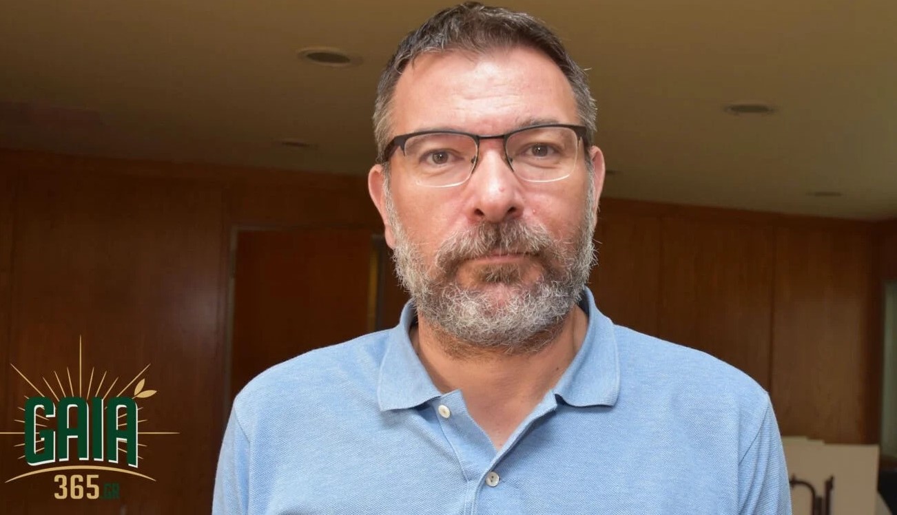 paraskeuopoulos 1