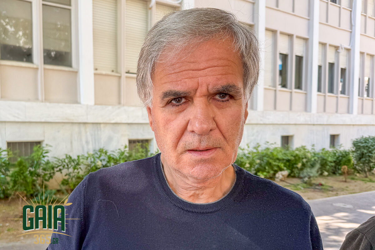 Kourlos D