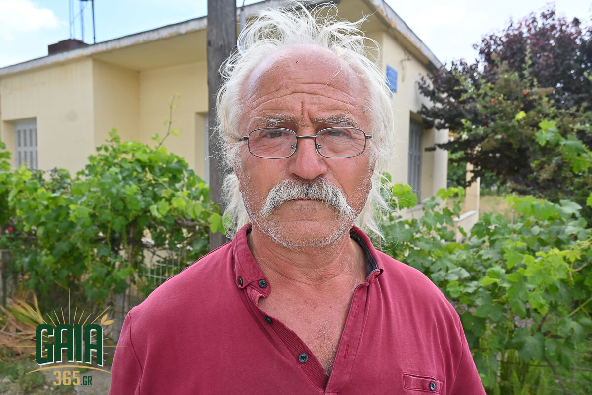 OASI Opekepe 12