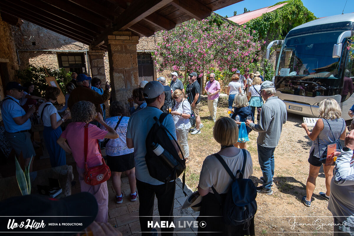 Anoixtes Portes Merkouri 19