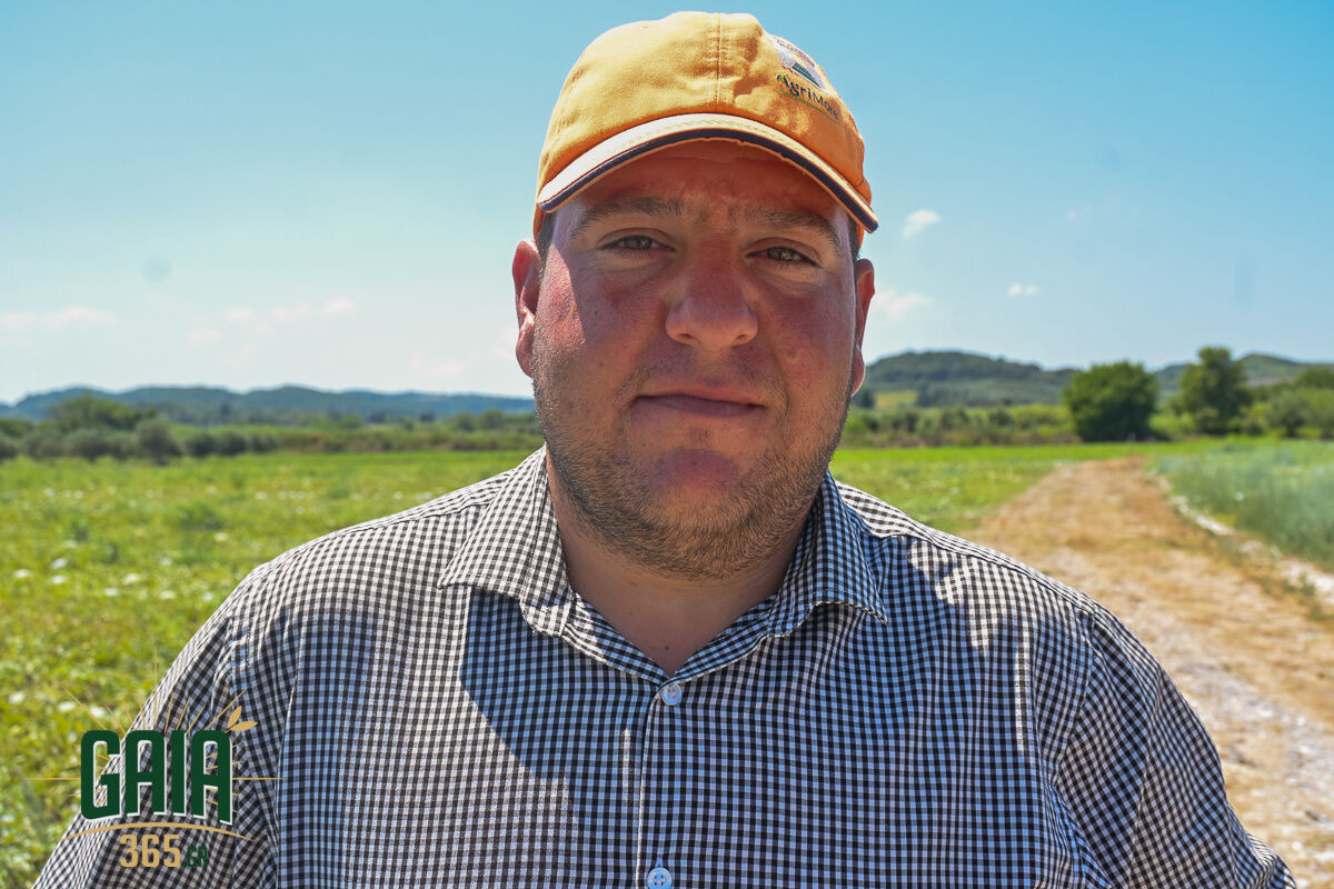 Karpouzia Ag.Dimitrios 11