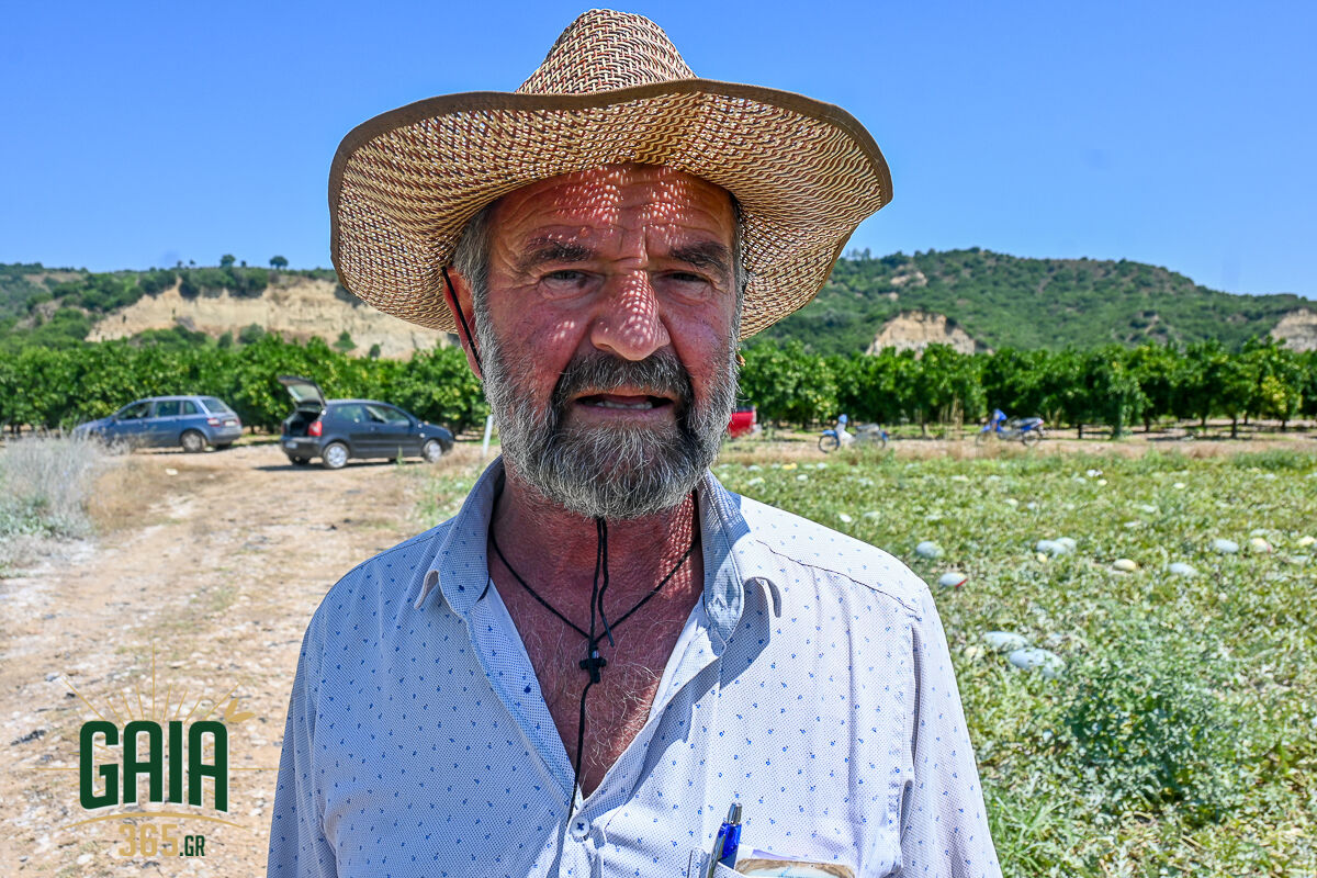 Karpouzia Ag.Dimitrios 12