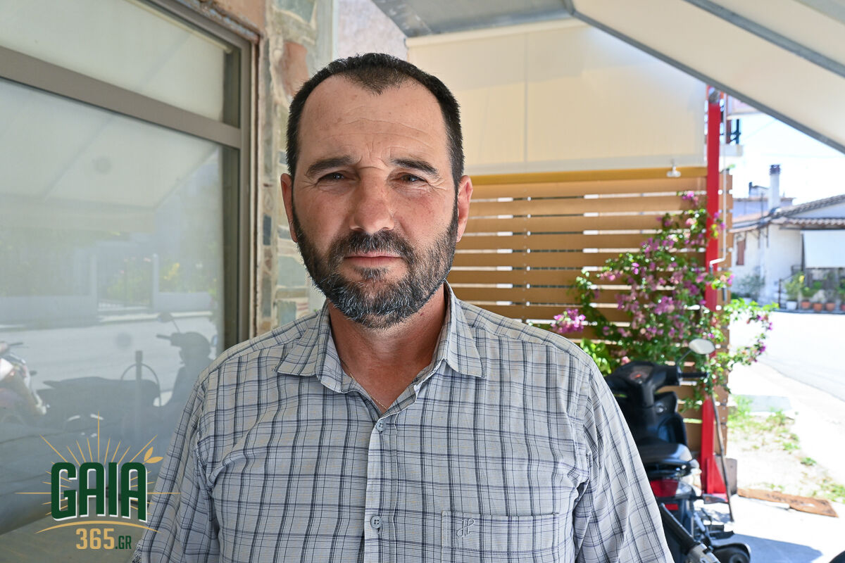 Karpouzia Ag.Dimitrios 13