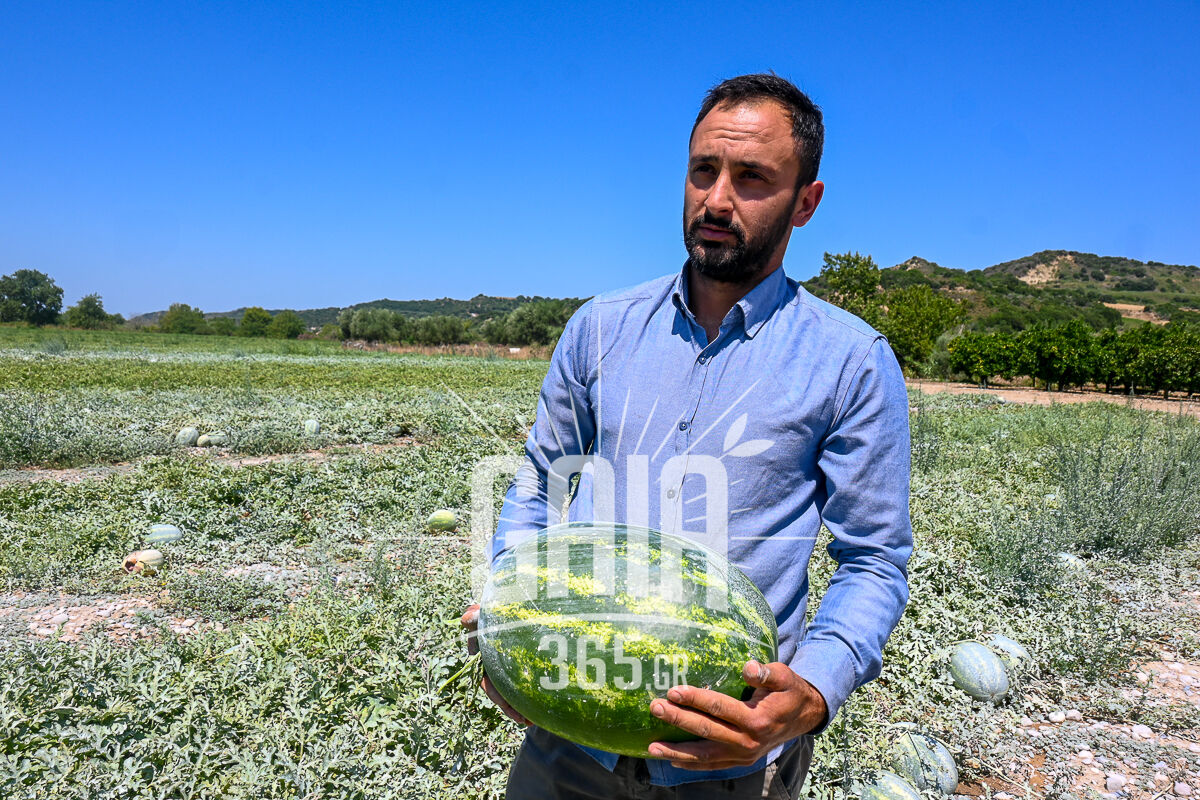 Karpouzia Ag.Dimitrios 4