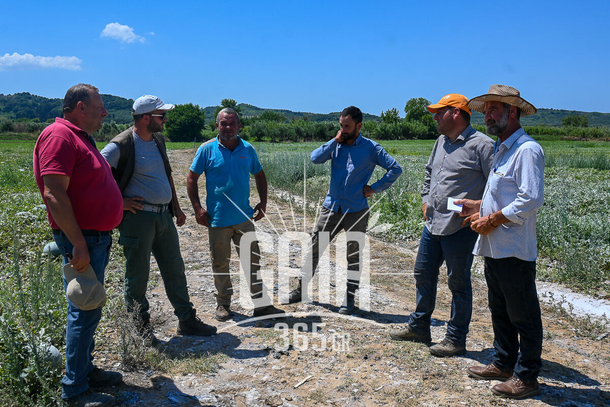 Karpouzia Ag.Dimitrios 6