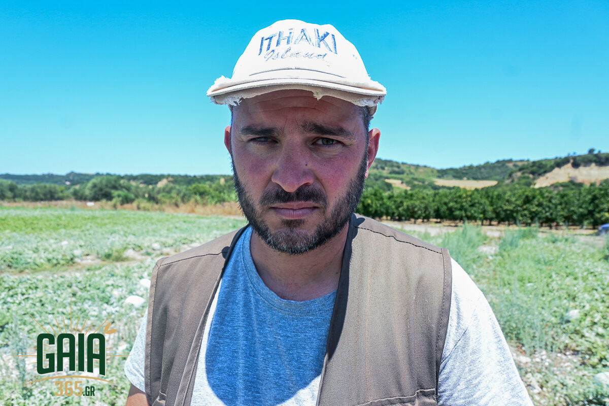 Karpouzia Ag.Dimitrios 9