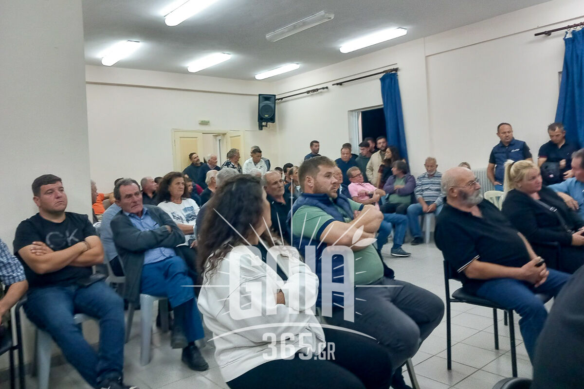 Efura enimerosi 2