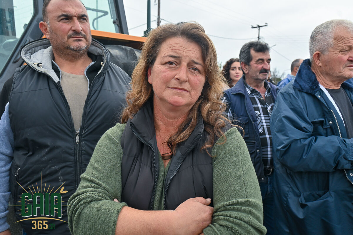 Mploko Lexaina New 6