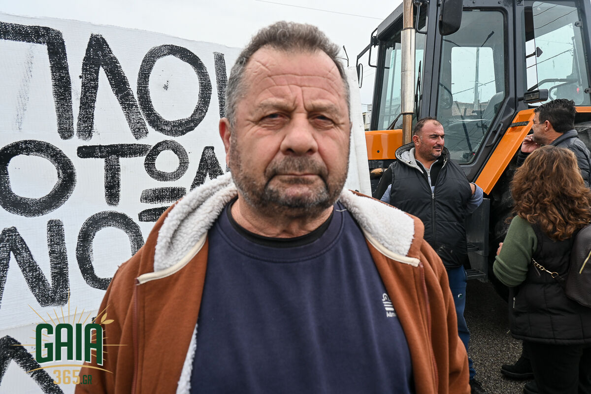 Mploko Lexaina New 8
