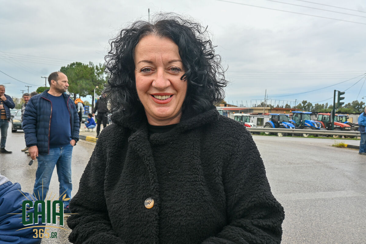 Mploko Lexaina New 9