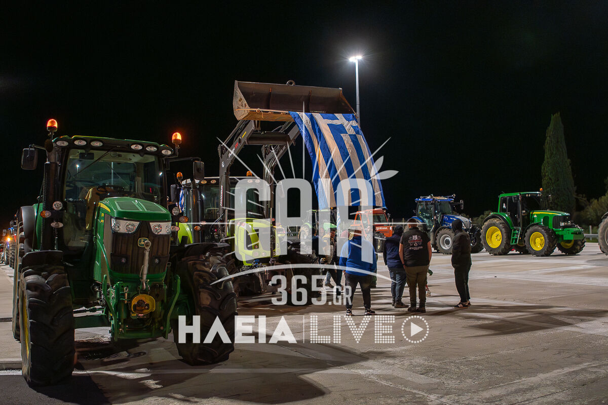 Agrotes Diodia new 1 2