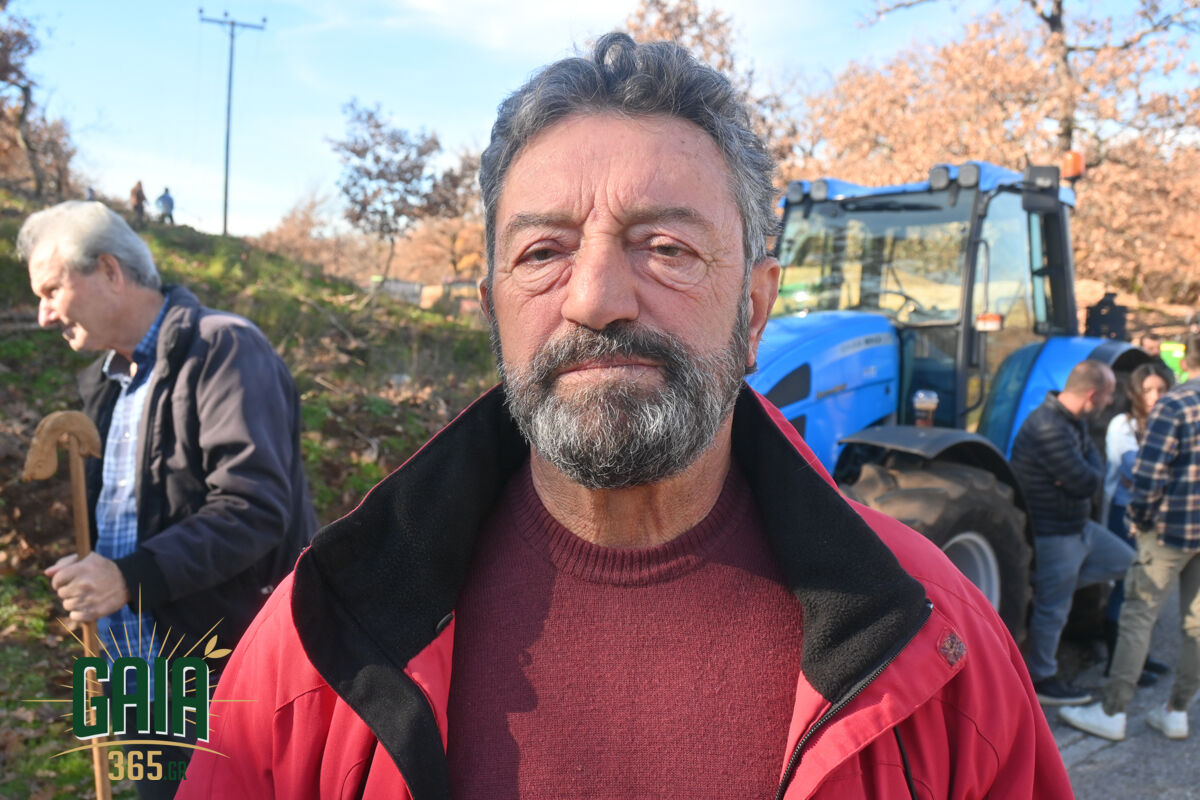 mploko panopoulou 12